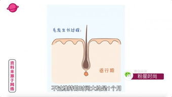 萬人精選 強(qiáng)脈沖脫毛儀——實(shí)用與高效的脫毛首選